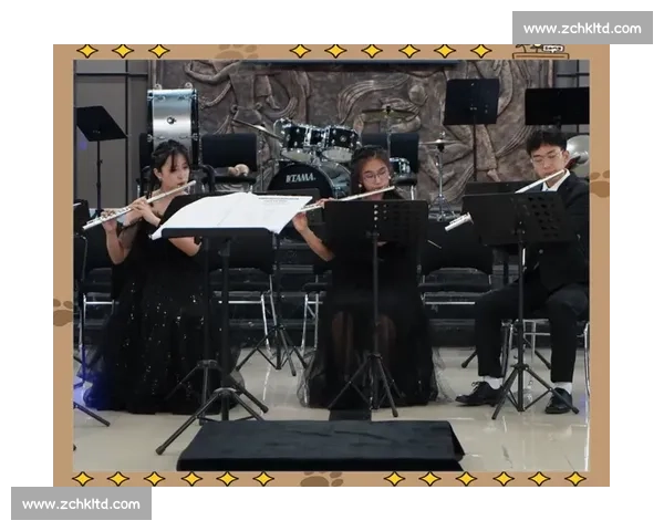 中国长笛比赛精彩纷呈探索与创新的艺术之旅